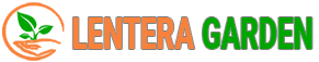Blog Lentera Garden