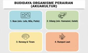 pengertian akuakultur